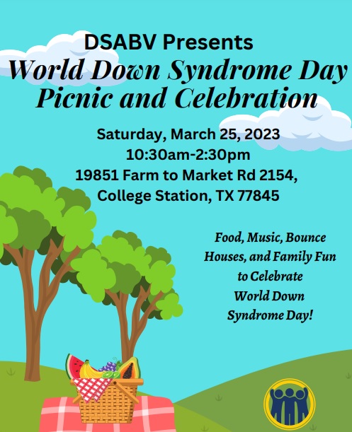 DSD Picnic DSD Picnic